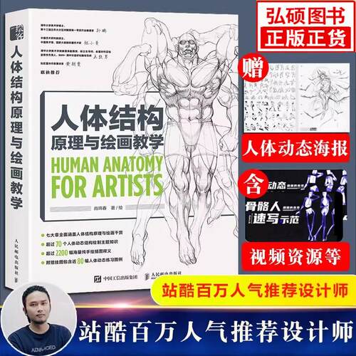人体结构原理与绘画教学