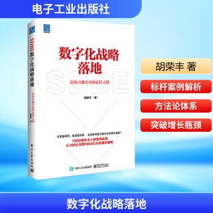 数字化战略落地 迈向卓越企业的必经之路 电子工业出版社 胡荣丰 著 战略管理QG