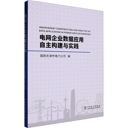 电网企业数据应用自主构建与实践