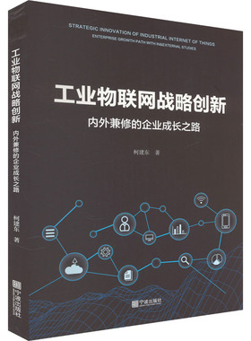 工业物联网战略创新 内外兼修的企业成长之路 宁波出版社 柯建东 著 管理学理论/MBAQG
