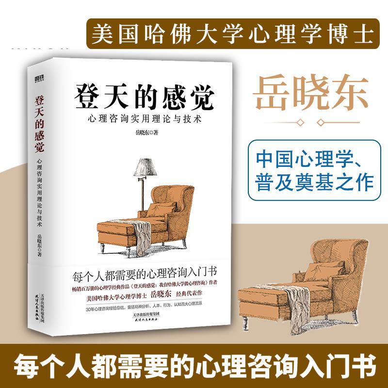 登天的感觉:心理咨询实用理论与技术 岳晓东 每个人都需要的心理咨询入门书 中国心理学普及奠基 我在哈佛大学做心理咨询X