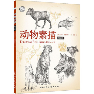 社 美 译 畅销版 刘静 上海人民美术出版 著 动物素描 道格·林德斯特兰