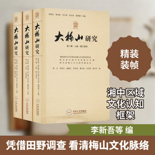 大梅山研究 第2辑(全3册) 中南大学出版社 李新吾 等 编 社会科学总论QG