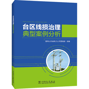 台区线损治理典型案例分析 中国电力出版社 国网山东省电力公司营销部 编 建筑/水利（新）QG