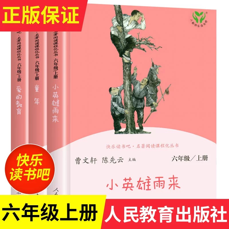 人教版 童年爱的教育小英雄雨来六年级上册bi读课外书上下册全套快乐读书吧推荐阅读汤姆索亚历险鲁宾逊漂流记人民教育出版社X