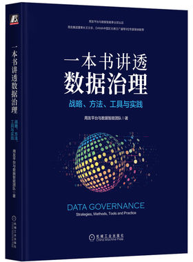 一本书讲透数据治理:战略、方法、工具与实践:strategies, methods, tools and practice用友平台与数据智能团队机械工业出版社