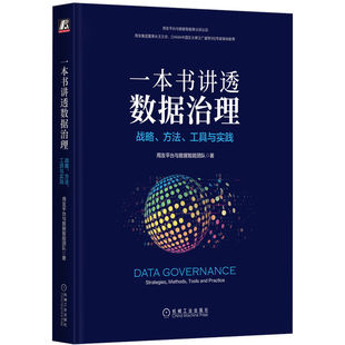 一本书讲透数据治理:战略、方法、工具与实践:strategies, methods, tools and practice用友平台与数据智能团队机械工业出版社