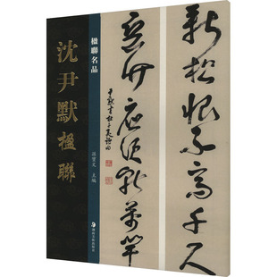 楹联名品 沈尹默楹联 湖南美术出版社 孙宝文 编 绘画(新) KC