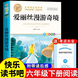爱丽丝漫游奇境全套4册鲁滨逊漂流记六年级下册必读正版的课外书原著完整版快乐读书吧6下书籍汤姆索亚历险记尼尔斯骑鹅旅行记K