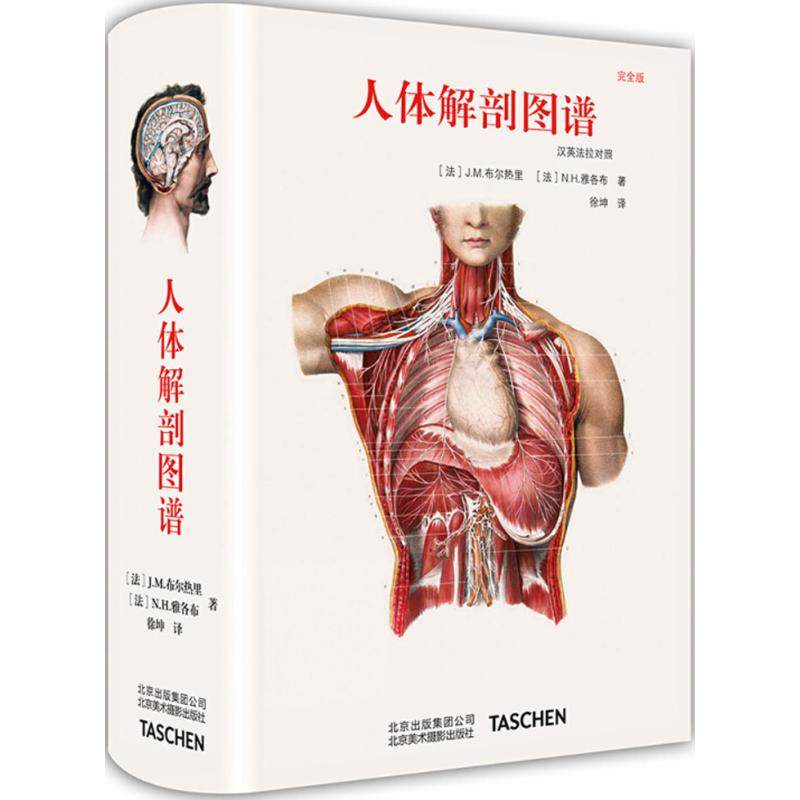 人体解剖图谱 北京美术摄影出版社 (法)J.M.布尔热里,(法)N.H.雅各布 著；徐坤 译 完全版 艺术理论（新）QG,书籍/杂志/报纸,艺术理论（新）,淘宝优惠券,粉丝福利购,淘宝优惠卷