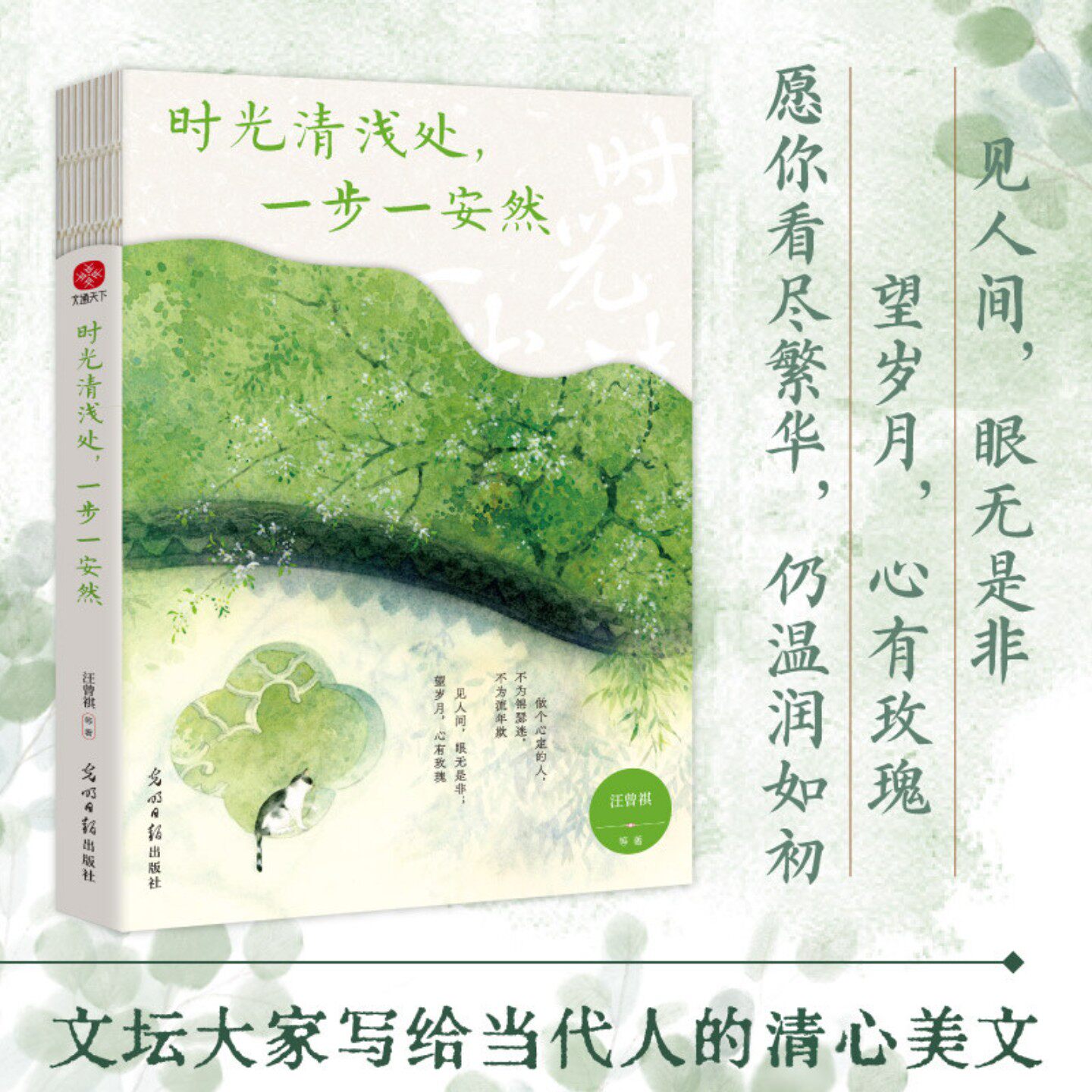 时光清浅处 一步一安然 汪曾祺 季羡林 梁实秋等写给当代人的清心美文 愿每个为生活奔波的人都能心有所定 温润如初X