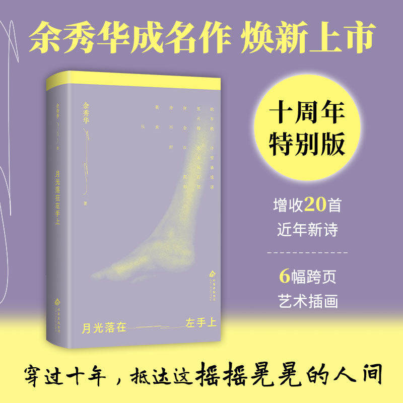 月光落在左手上十周年特别版图片