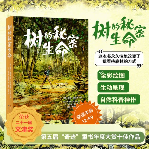 树的秘密生命全彩绘图自然科普