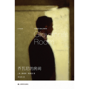 乔瓦尼的房间詹姆斯·鲍德温小说作品同性恋主题身份认同文学经典青少年成人阅读上海译文出版社K