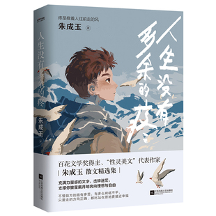 人生没有多余的疼 江苏凤凰文艺出版社 朱成玉 著 中国近代随笔  KC