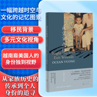 夜空穿透伤：王鸥行诗集[美]王鸥行/著 何颖怡/译北京联合出版有限公司文学QG