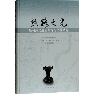 丝路之光 圣利海北遗址考古与文物精粹 上海古籍出版社 山东大学历史文化学院,山东大学文化遗产研究院,垦利区博物馆 编  KC