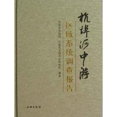 杭埠河中游区域系统调查报告 文物出版社 宫希成 著作 著 中国通史  KC