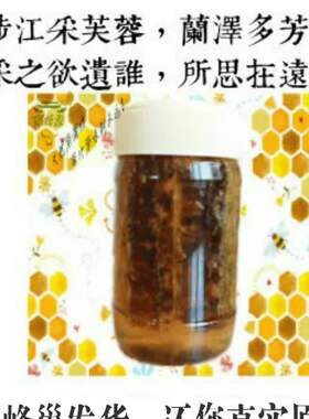 包邮蜂蜜2斤江湖无添加神农架