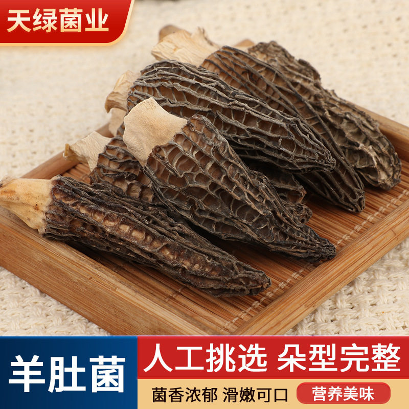 羊肚菌30克/罐剪柄干货羊肚菌煲汤食用菌菌菇四川成都金堂土特产