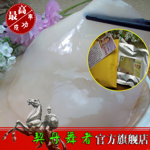专业俄罗斯原生红茶菌菌种 海宝 小号实惠版 山泉水培养 保证成活