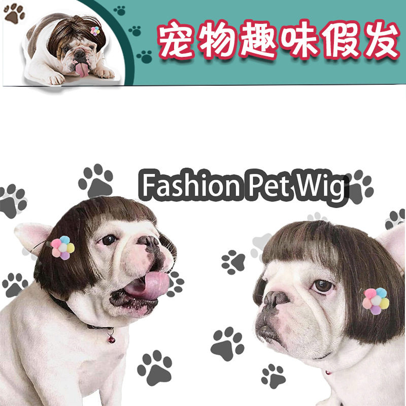 宠物假发猫咪狗狗卖萌搞怪假头套齐刘海小辫子波波头哪吒发箍发套图片