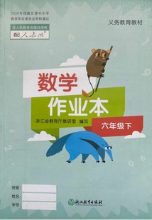 小学数学作业本 六年级下册R人教版 6年级下册 正版 社 2021新版 浙江教育出版 课堂作业本小学生数学六年级下册义务教育教材 代购
