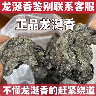 龙涎香香薰抹香鲸分泌物沉檀龙麝香水原料海边 龙腹香保真