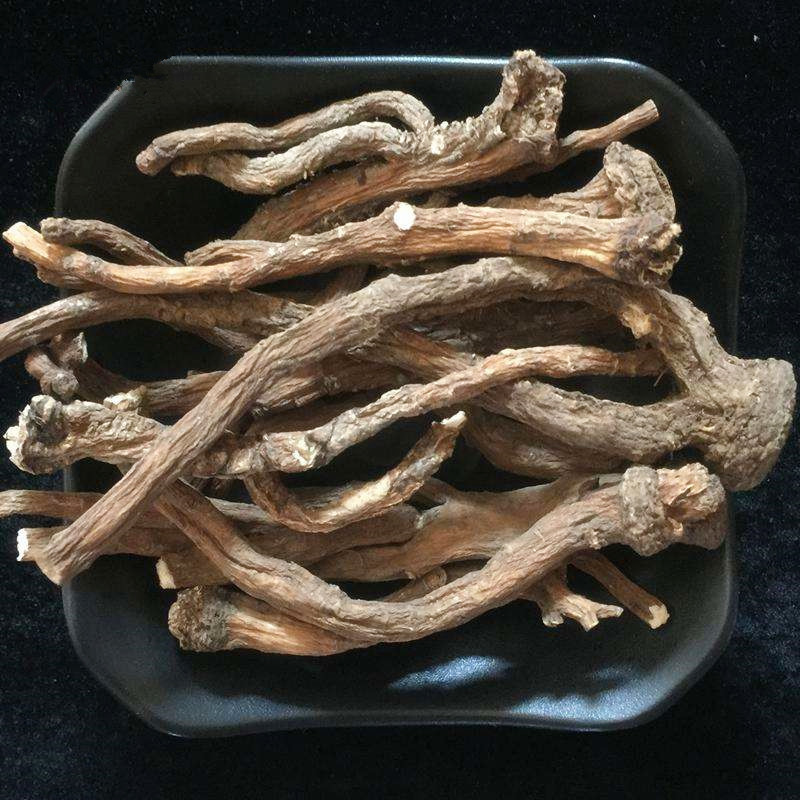 长白山优质药用婆婆丁蒲公英根茶