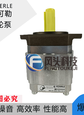 原装ECKERLE艾可勒齿轮泵890-EI-0320-RK2-C313注塑机压铸机油泵