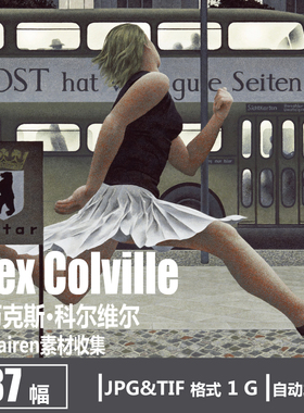 艾历克斯·科尔维尔 Alex Colville 电子图片 丙烯画写实油画素材
