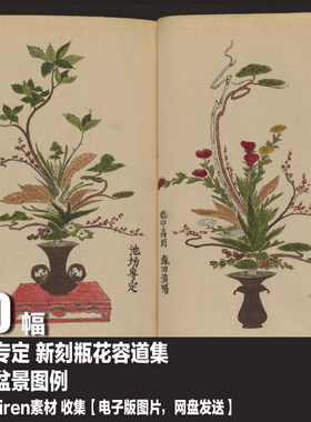 日本 池坊专定 新刻瓶花容道集 电子图片 插花盆景图例花艺素材