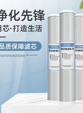 20寸CTO滤芯压缩活性炭蓝色前置净水器自动饮水机公共饮水机508MM