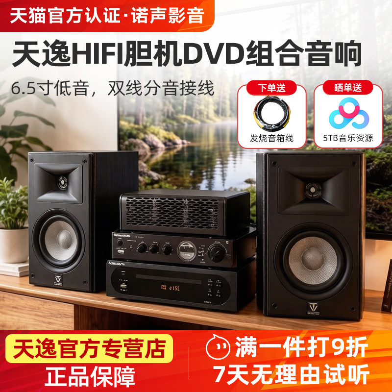 天逸童笛S6发烧级hifi音箱胆机套装6.5寸高保真号角音响DVD机组合