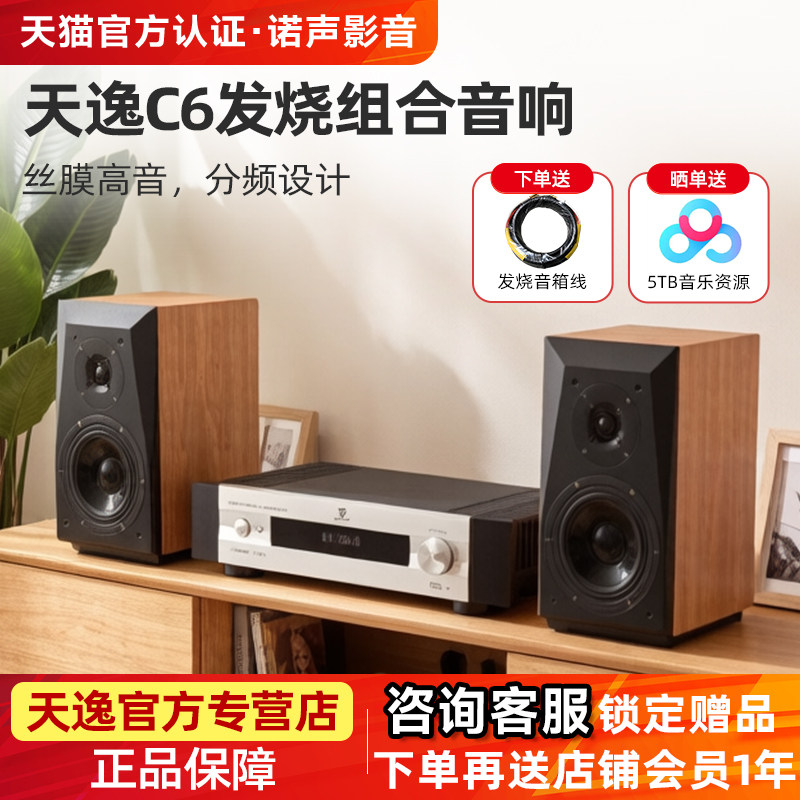 Winner/天逸 童笛C6高保真音箱功放hifi组合发烧立体声书架音箱