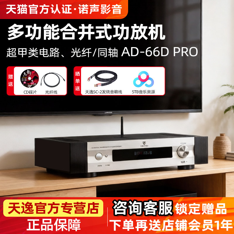 Winner/天逸AD-66DPRO超甲类合并式hifi功放机U