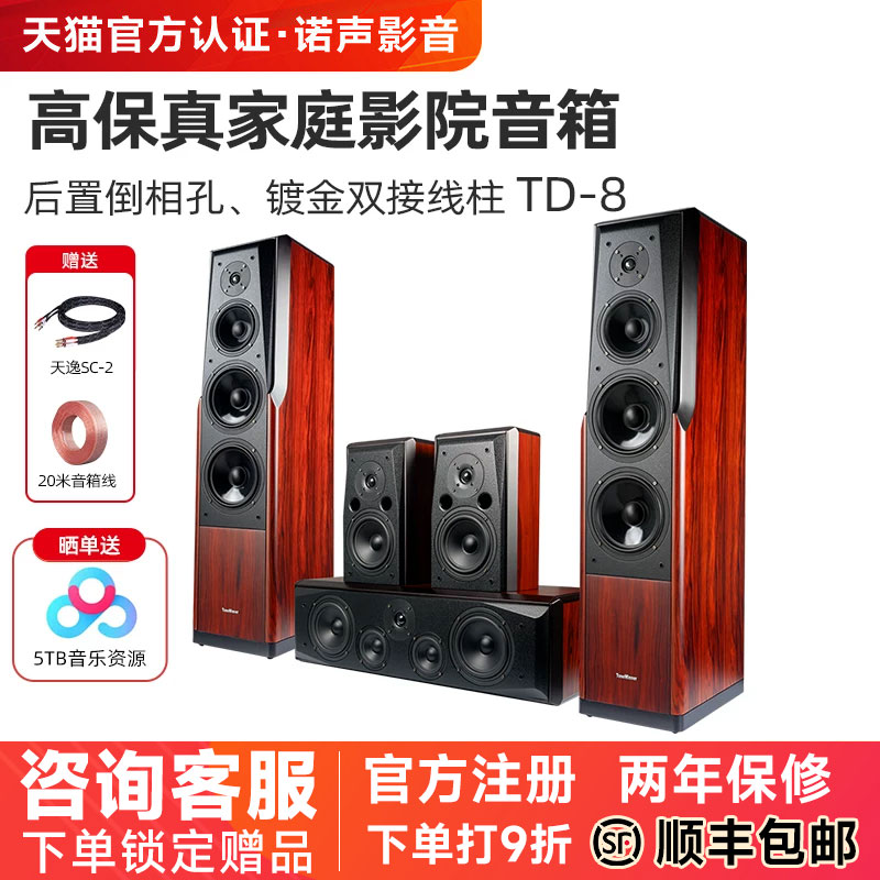 Winner/天逸 童笛八号 TD-8家庭影院音响套装5.0高保真落地木音箱