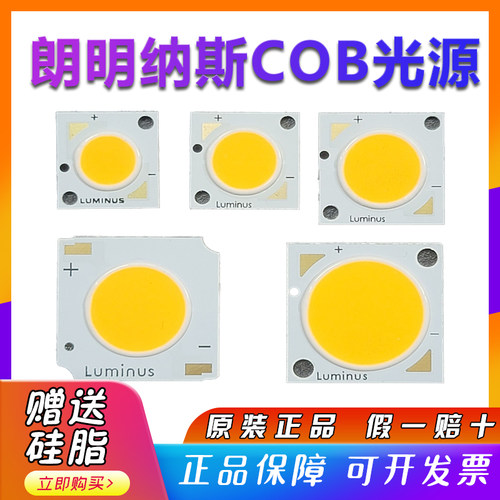 朗明纳斯36V筒灯射灯灯芯保五年