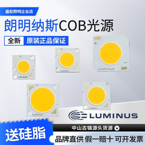 朗明纳斯36V筒灯射灯灯芯保五年