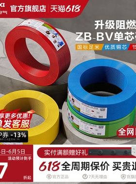 德力西电线铜芯铜线B阻燃bv单芯硬线2.5 4 6 10平方家装国标电缆