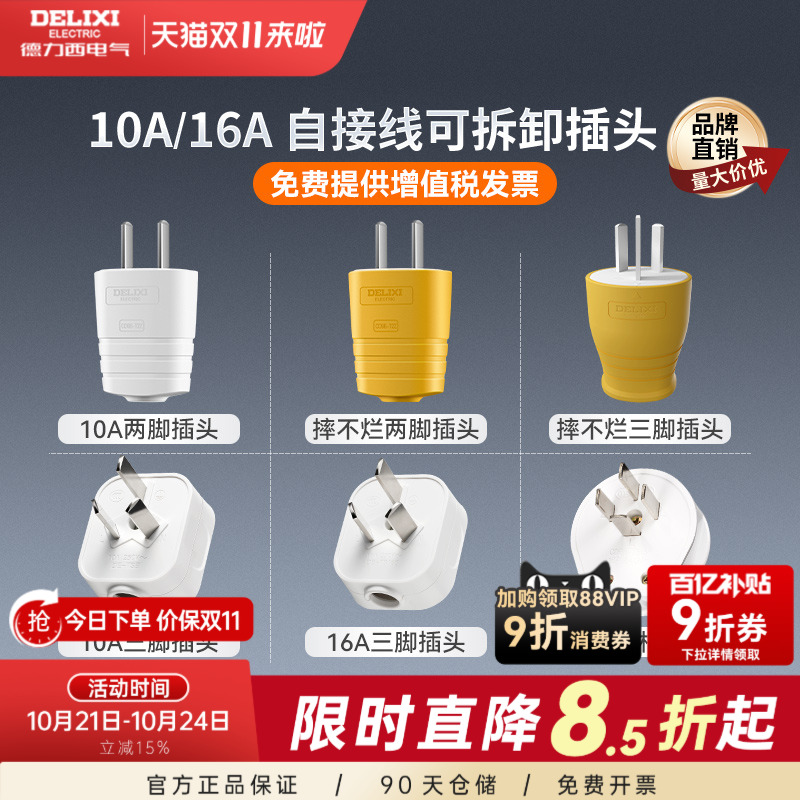 德力西插头10啊6a二三脚