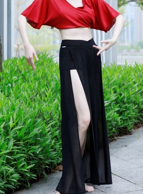 cherrydancer纪小白原创双开叉亮片弹力肚皮舞舞裙下装练功服2023