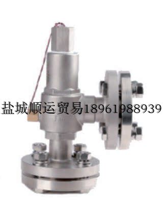keerrun科尔润液氩液氩液氮CF8不锈钢低温安全阀 DA42Y-40P