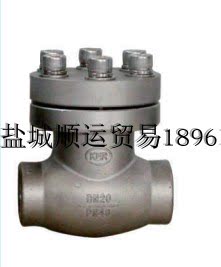keerrun科尔润CF8不锈钢液氩液氧液氮低温止回阀 DH61F - 40P