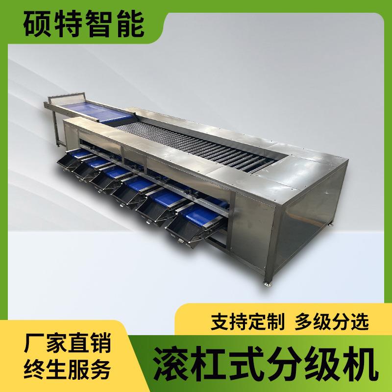 小柿子大小滚杠选果机 核桃坚果直径分选机 沙糖桔辊杠分拣机