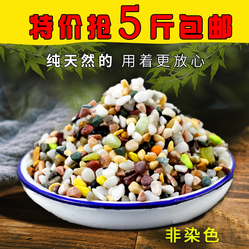 五彩石盆栽多肉植物铺面石雨花石鱼缸造景小石子花盆装饰七彩石头 宠物/宠物食品及用品 造景/装饰 原图主图