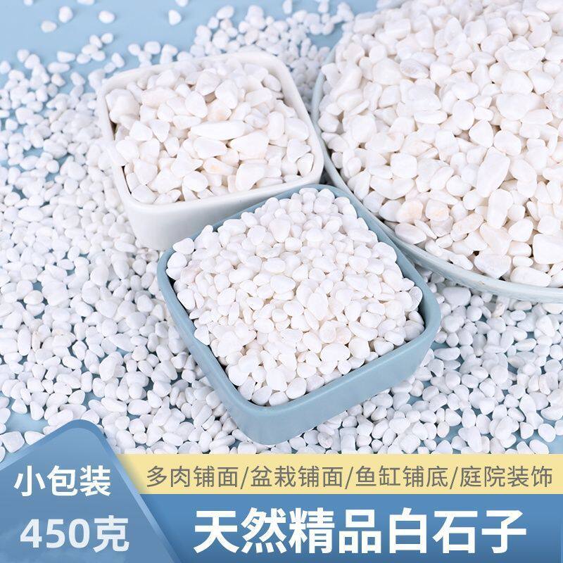 白卵石子多肉铺面石子花盆装饰鹅卵石小石子鱼缸造景石