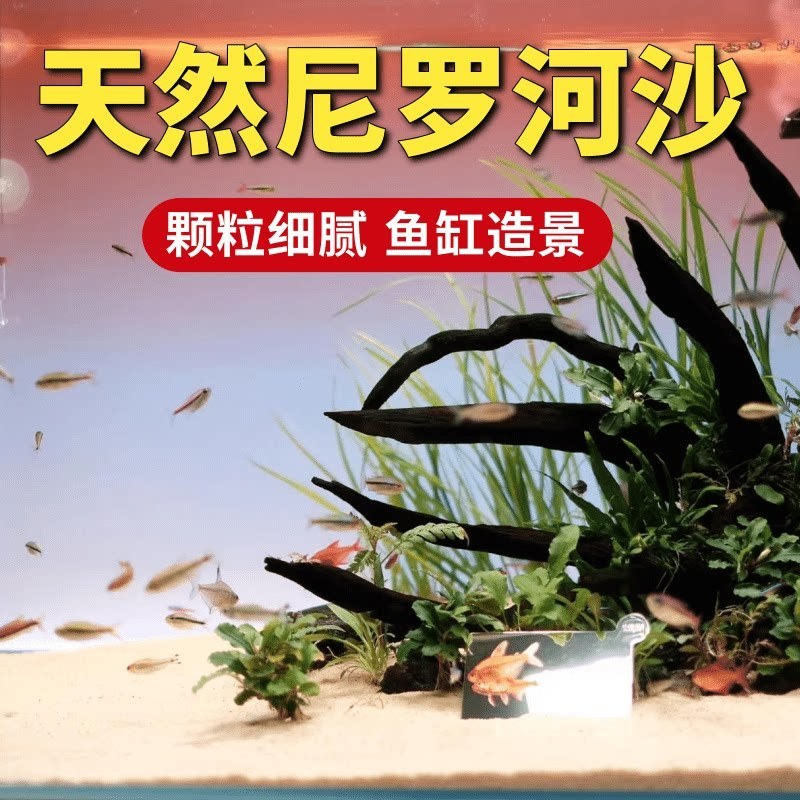 天然尼罗河沙鱼化妆底沙水草南美沙草鱼底专用鱼缸造景沙黄色细沙