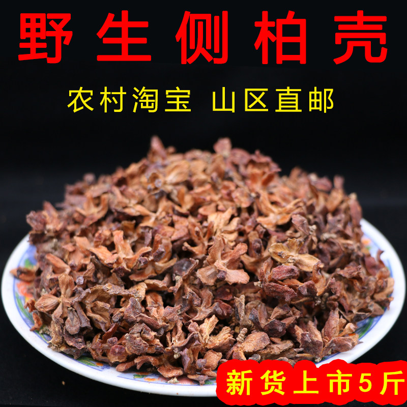 沂蒙山野生侧柏壳5斤 散装枕芯 白头发柏树壳柏子壳挑选 柏壳子