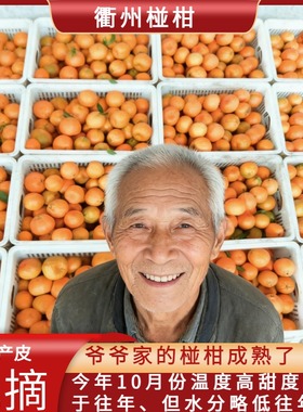 精品衢州椪柑优选果自家种植当季水果孕妇橘子绿色健康桔子